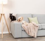 Ein Hund und eine Katze sitzen auf einem grauen Sofa mit beiger Decke und Kissen.