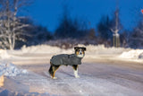Hund in grauem Mantel steht auf schneebedeckter Straße bei Dämmerung.