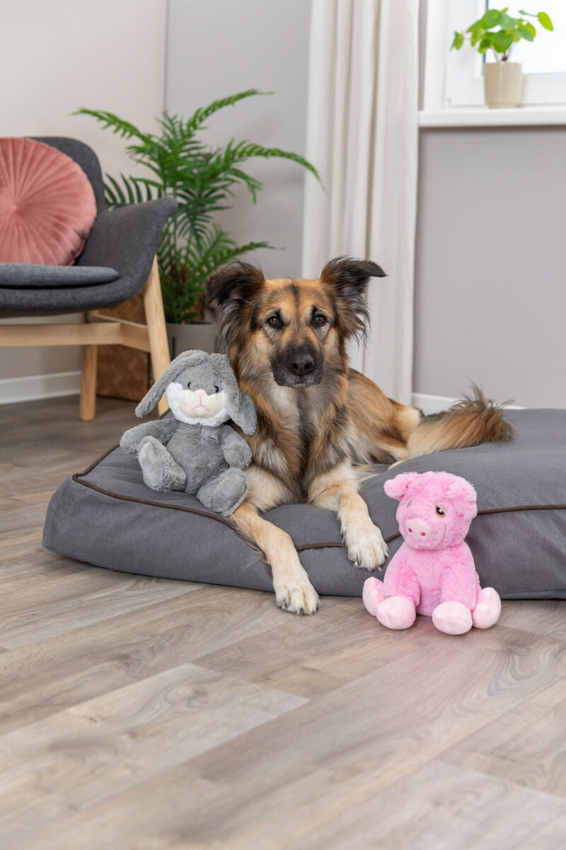 Hund liegt auf Hundebett mit grauem und rosa Plüschtier in Wohnzimmer.