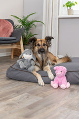Hund liegt auf Hundebett mit grauem und rosa Plüschtier in Wohnzimmer.