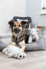 Hund liegt in grauem Hundebett mit zwei weißen Plüschspielzeugen im Vordergrund.