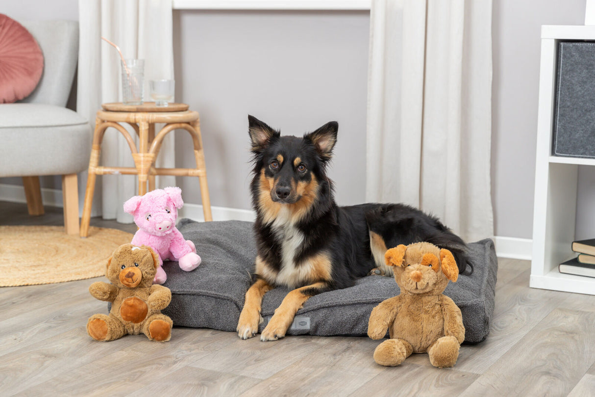 Hund liegt auf grauem Hundebett, umgeben von drei Plüschtieren auf Holzboden.