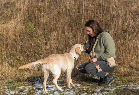 Eine Person kniet vor einem hellbraunen Hund, der auf einer Wiese im Freien steht.