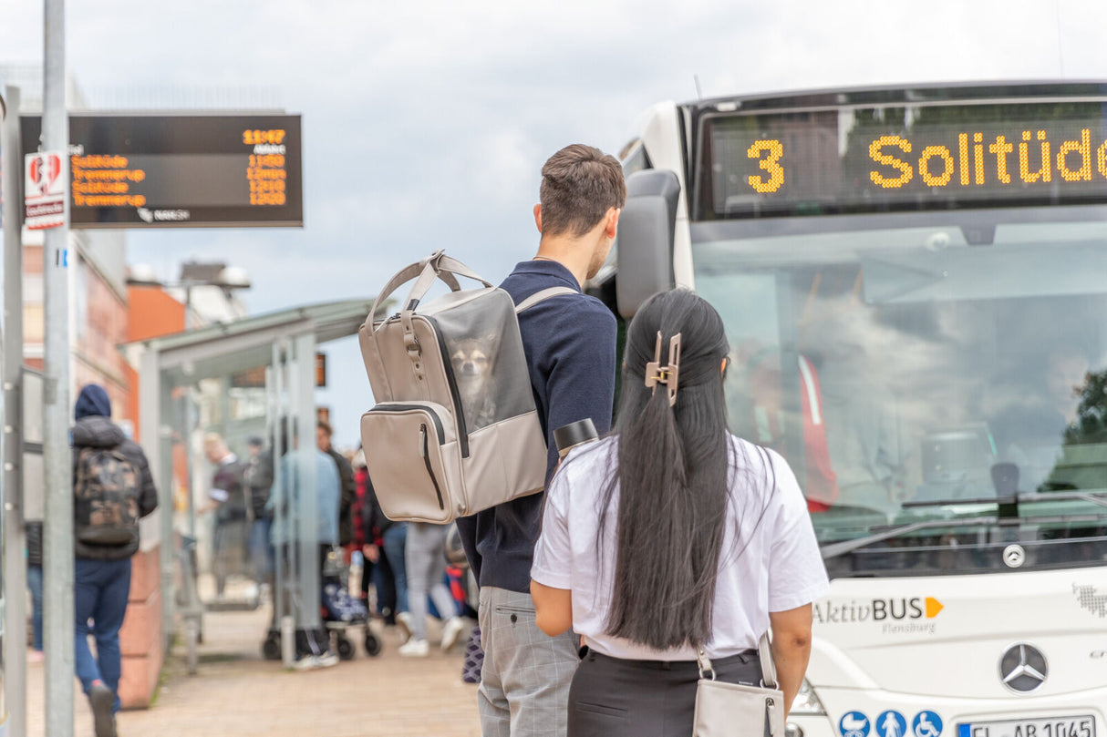 Mann mit Rucksack, in dem ein kleiner Hund sitzt, steht an einer Bushaltestelle vor einem Bus.