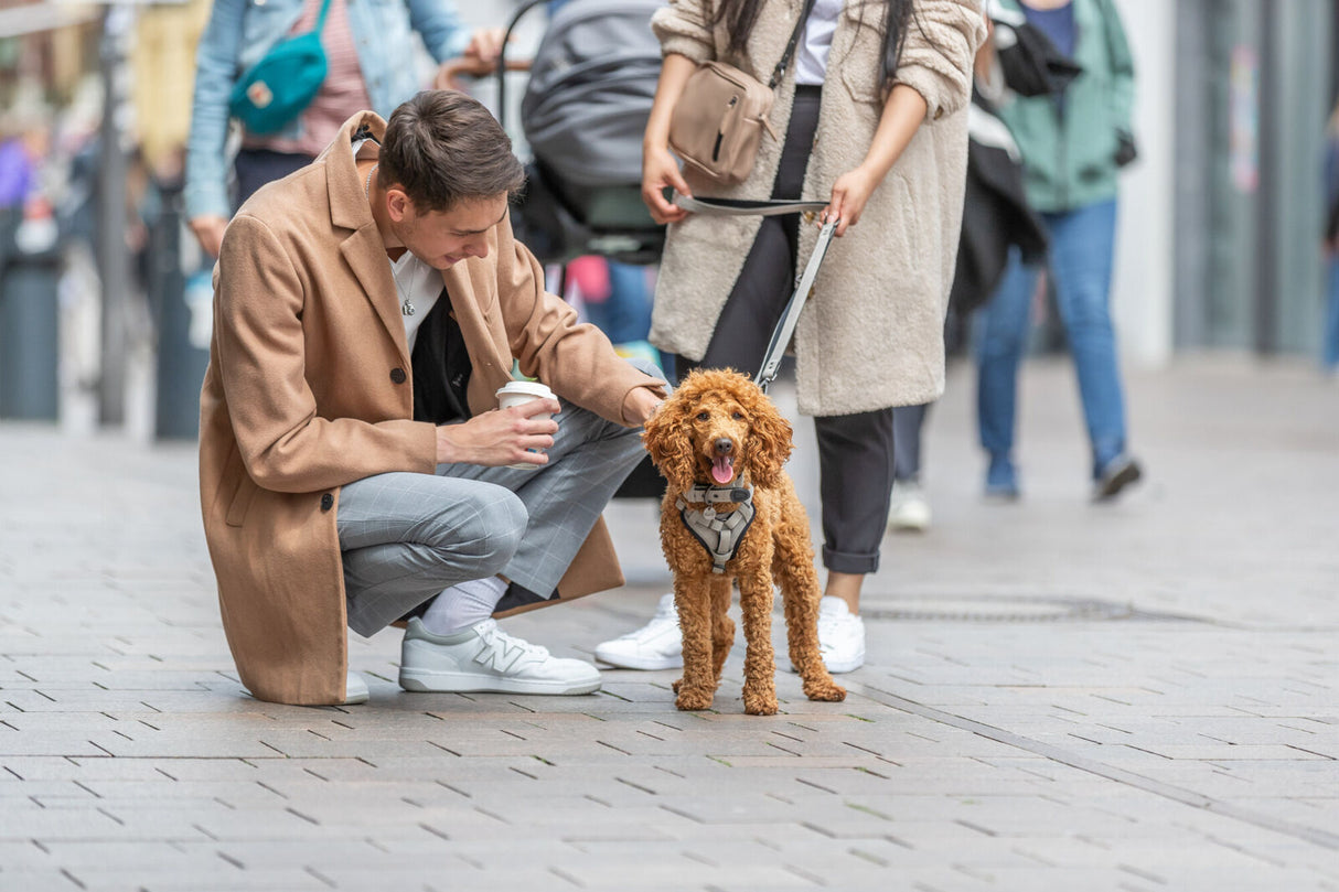 Mann in beiger Jacke hockt neben einem kleinen braunen Hund, der an der Leine gehalten wird.