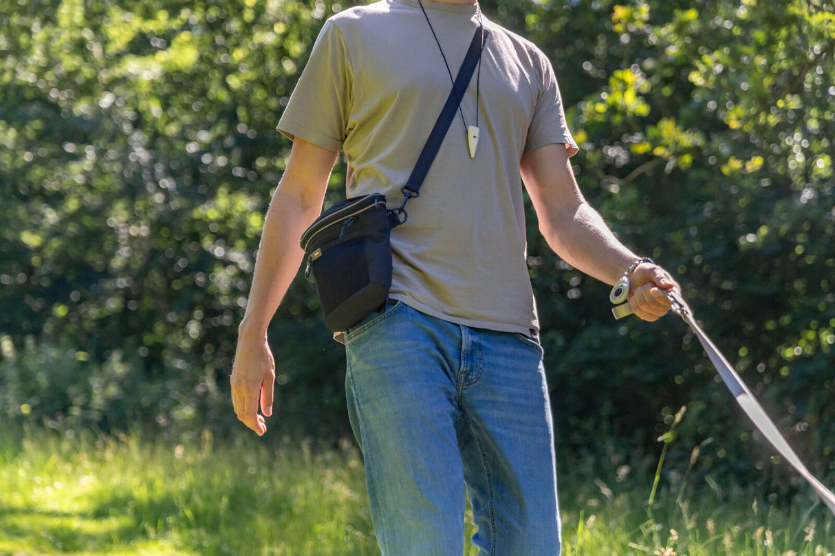 Person trägt graues T-Shirt und Jeans, führt Hund an Leine auf sonnigem Weg im Grünen.