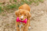 Hundespielzeug Soft & Strong Bone aus TPR