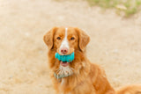 Hundespielzeug Super Strong Jumper aus TPR, besonders robust