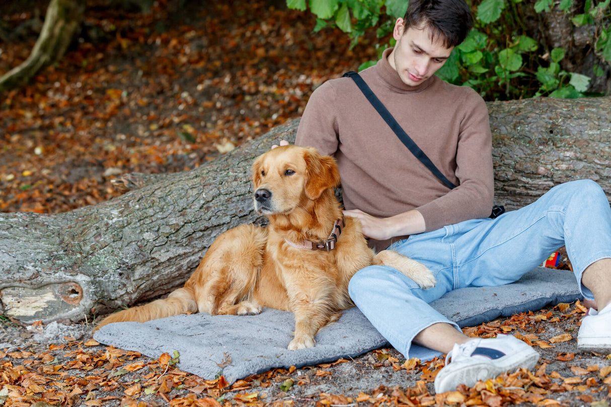 Ein Mann sitzt neben einem Golden Retriever auf einer Decke im Wald.