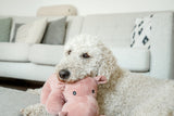 Ein weißer, lockiger Hund ruht auf einem pinken Plüschtier auf einer grauen Couch.