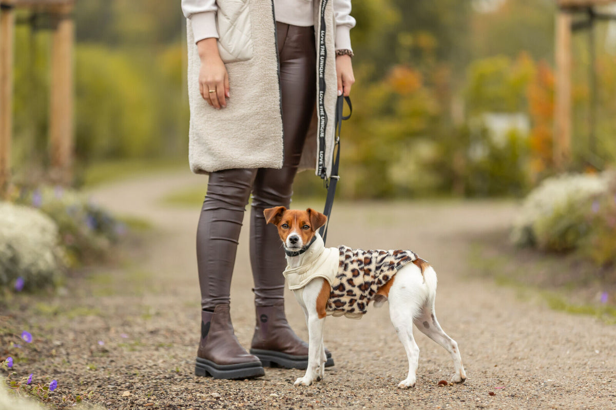 Hundewintermantel mit Klettverschlüssen und Bauchlatz in Leo-Optik