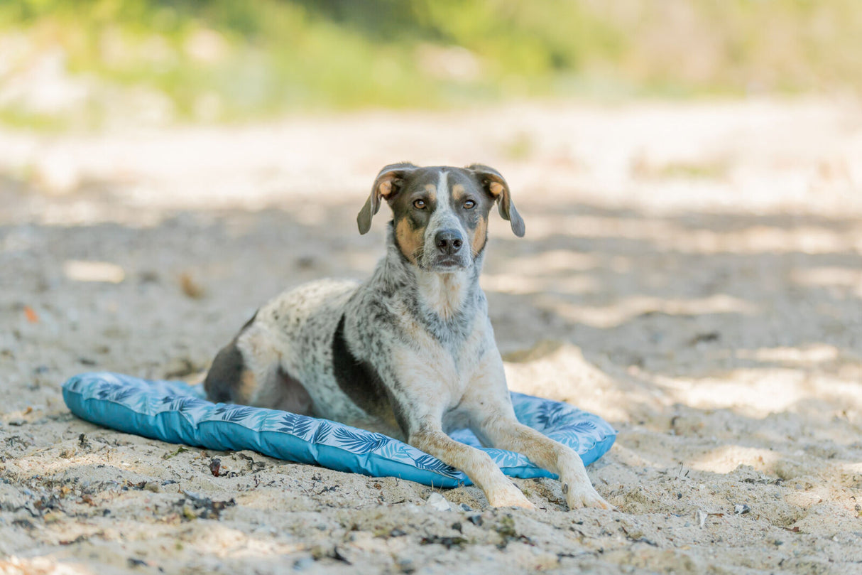 Kühlmatte für Hunde und Katzen mit Palmenblättern, selbstkühlend