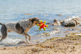 Aqua Toy Seeigel
