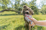 Snack Mousse mit Leber