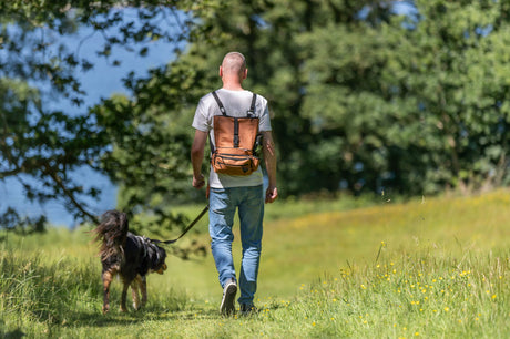 Mann mit braunem Rucksack geht mit Hund an der Leine auf einem grasbewachsenen Weg spazieren.