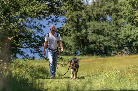Ein Mann geht mit einem angeleinten Hund über einen grasbewachsenen Weg in einer naturnahen Umgebung.