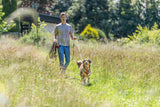 Ein Mann führt einen Hund an der Leine durch eine grüne Wiese.