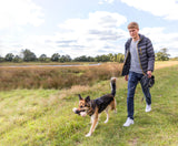 Ein Hund mit Spielzeug im Maul läuft neben einer Person über eine Wiese.