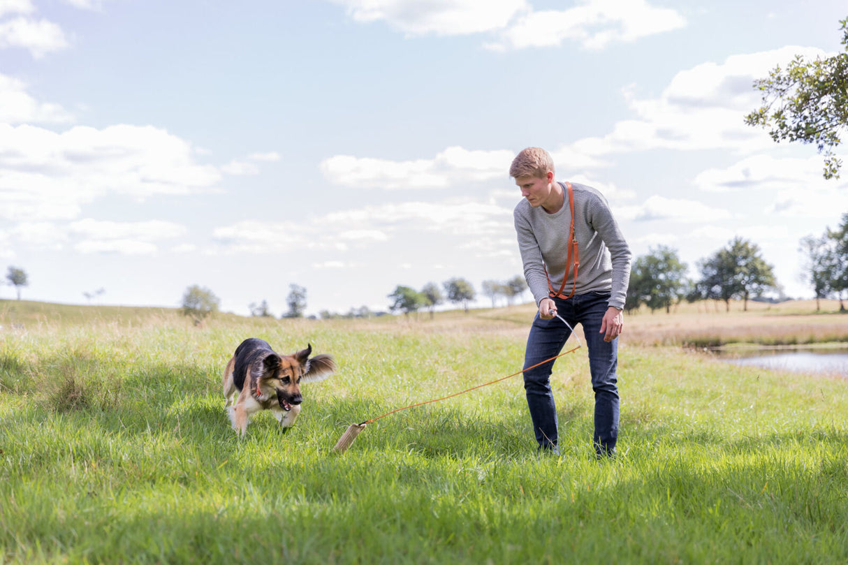 Mensch spielt mit einem Hund mit einer Leine auf einer grünen Wiese bei sonnigem Wetter.