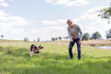 Mensch spielt mit einem Hund mit einer Leine auf einer grünen Wiese bei sonnigem Wetter.