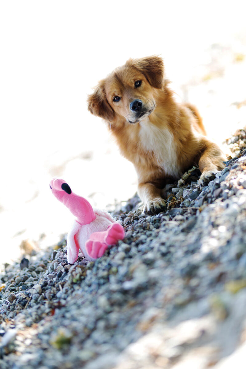Ein Hund liegt auf Kies neben einem pinken Stofftier in der Form eines Flamingos.