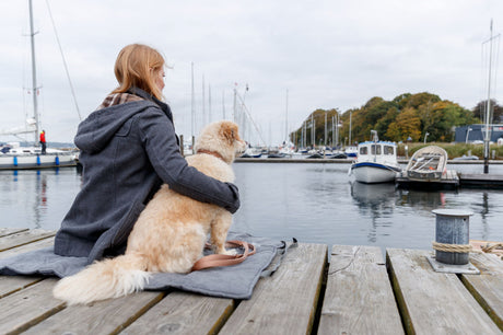 Eine Person sitzt mit einem hellen Hund auf einem Steg am Wasser, im Hintergrund sind Boote sichtbar.