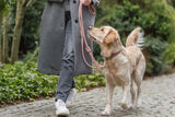 Hund an rosafarbener Leine spaziert mit Person in grauem Mantel auf gepflastertem Weg.