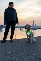 Person mit Hund an Leine steht vor Sonnenuntergang an einem Hafen mit Segelbooten.