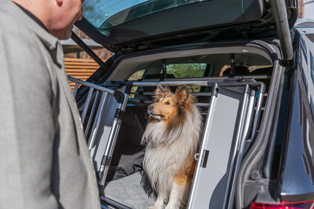 Hund sitzt in einer offenen Transportbox im Kofferraum eines Autos, neben einem Mann.
