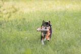 Fuchs