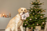 Ein Hund hält ein Plüschspielzeug vor einem geschmückten Weihnachtsbaum.