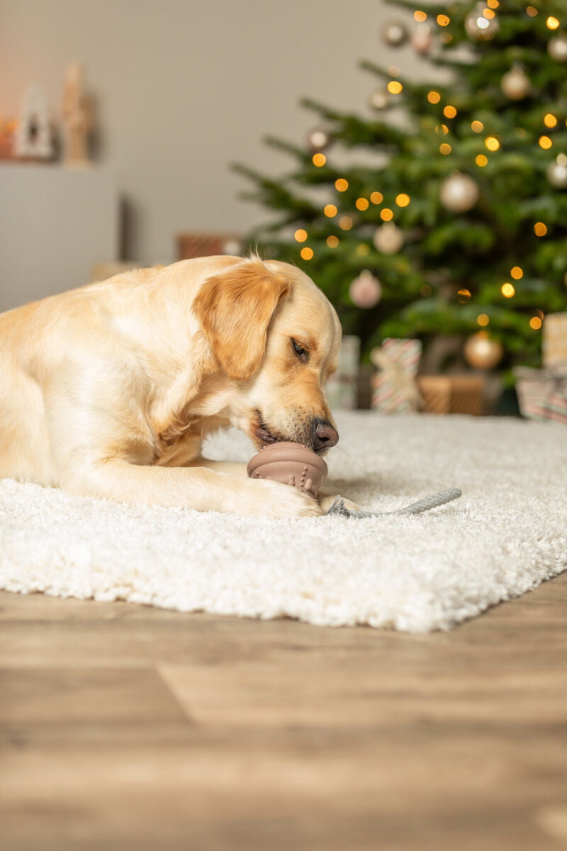 Ein Hund spielt mit einem Spielzeug auf einem flauschigen Teppich vor einem geschmückten Weihnachtsbaum.
