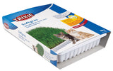 Verpackung mit der Aufschrift "TRIXIE Softgras Weidelgras-Saat zum Selbstziehen" und Bildern von zwei Katzen.