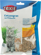 Katzengras-Nachfüllbeutel von Trixie, Verpackung zeigt zwei Katzen, enthält Text zur Unterstützung der Vitaminversorgung, Gewicht 100 g.