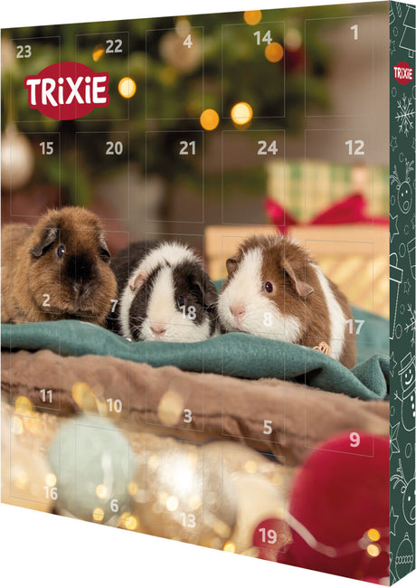 Ein Adventskalender mit drei Meerschweinchen auf einer Decke, umgeben von unscharfen, festlichen Lichtern.
