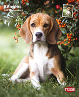 Beagle sitzt auf Gras neben orangefarbenen Beeren an Zweigen, Kalender 2027, Trixie-Logo sichtbar.