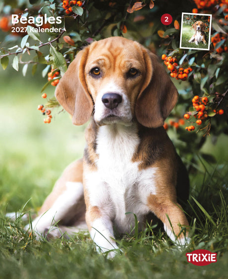Beagle sitzt auf Gras neben orangefarbenen Beeren an Zweigen, Kalender 2027, Trixie-Logo sichtbar.