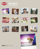 Bild von TRIXIE 2027 Kalender mit Beagle-Hunden in verschiedenen Szenen und Umgebung.