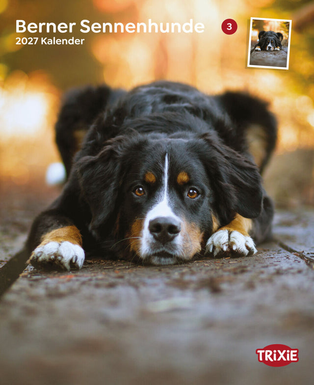 Berner Sennenhund liegt mit Kopf auf dem Boden, Kalender 2027 und TRIXIE-Logo sichtbar.