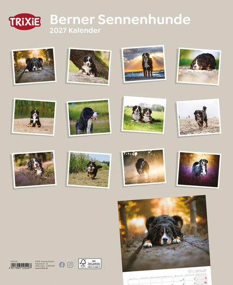 TRIXIE Kalender 2027 mit Berner Sennenhunden in verschiedenen Landschaften gezeigt.