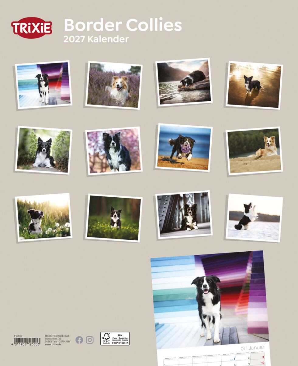 Kalender mit Fotos von Border Collies vor verschiedenen Hintergründen.