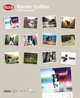Kalender mit Fotos von Border Collies vor verschiedenen Hintergründen.