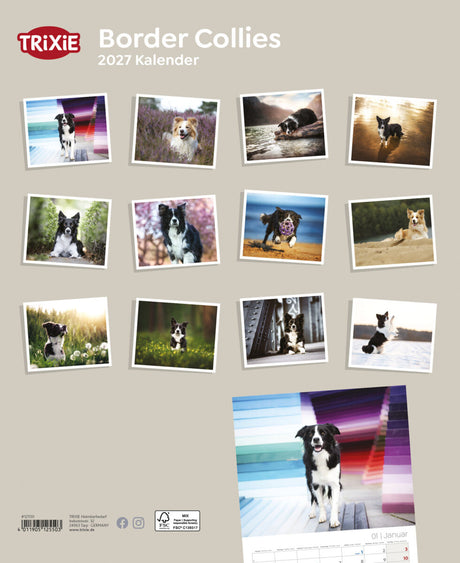 Kalender mit Fotos von Border Collies vor verschiedenen Hintergründen.