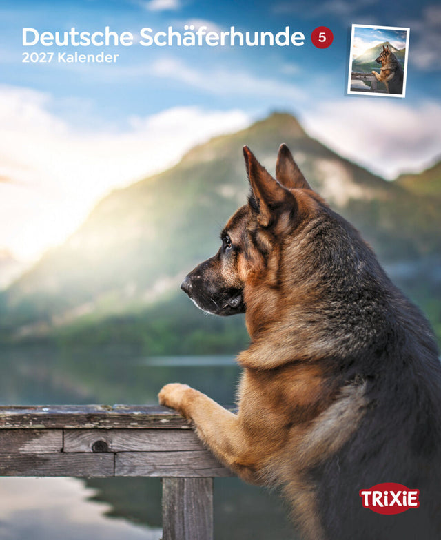 Ein deutscher Schäferhund blickt in einer Berglandschaft über einen Holzsteg.