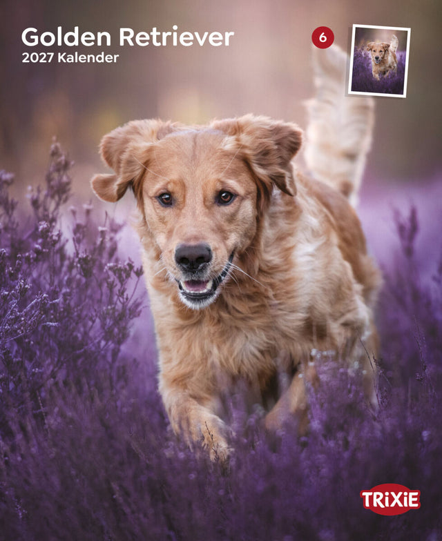 Golden Retriever läuft durch ein lila blühendes Feld, „TRIXIE“ Logo unten rechts.