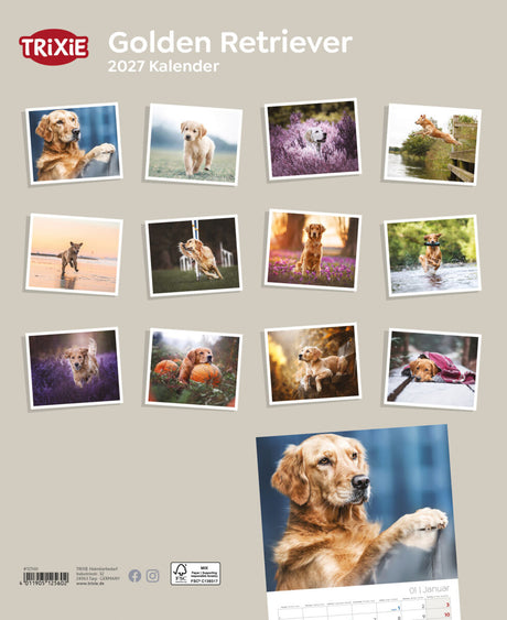 Kalender mit Bildern von Golden Retrievern in verschiedenen Szenen und Positionen.
