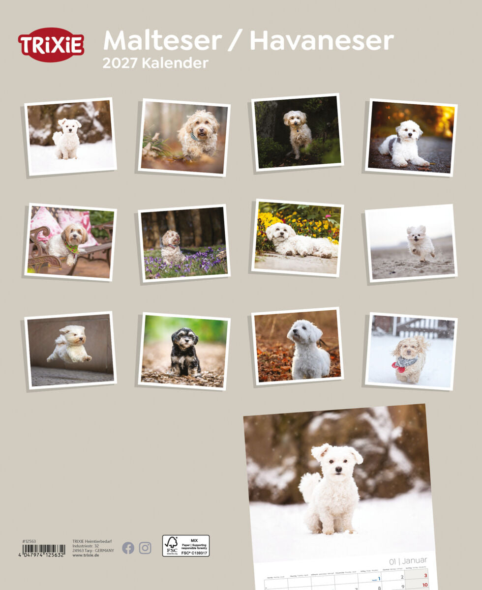 Mehrere Fotos von Hunden im Kalender "Maltese / Havaneser 2027" von TRIXIE.