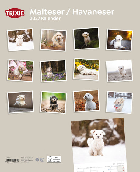 Mehrere Fotos von Hunden im Kalender "Maltese / Havaneser 2027" von TRIXIE.