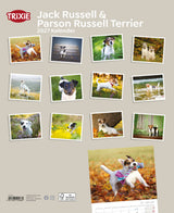 Eine Übersicht verschiedener Fotos von Jack Russell Terriern auf einem Kalender für 2027.