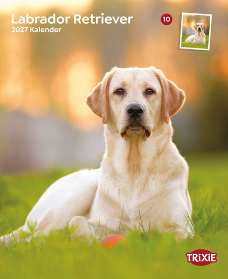 Ein Labrador Retriever liegt auf einer Wiese, daneben ein orange-blaues Spielzeug. "TRIXIE" Logo sichtbar.